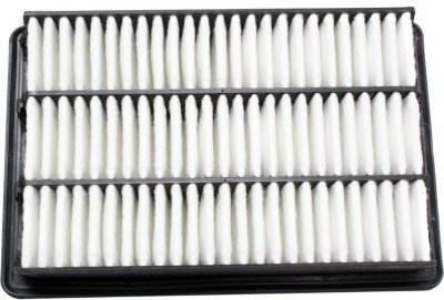 Hyundai Air Filter Beck Arnley