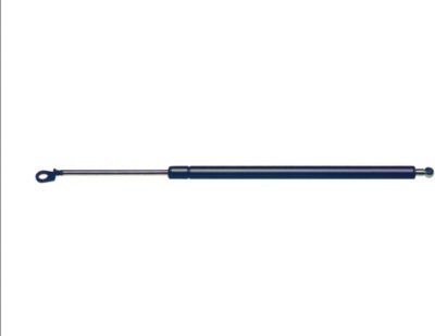 Volkswagen Tailgate Strong Arm